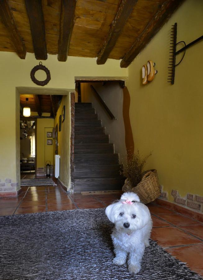Гостевой дом La Casita De Leire Тамахон Экстерьер фото