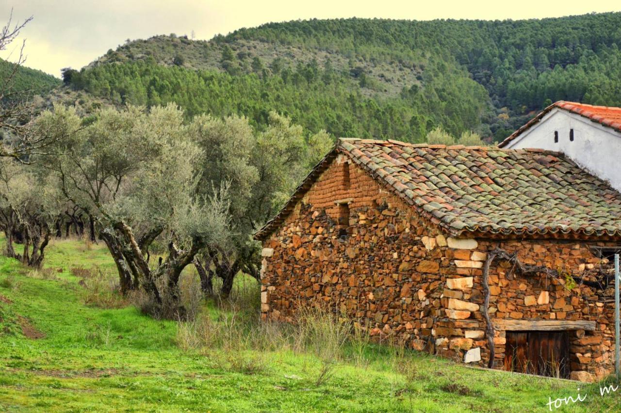 Гостевой дом La Casita De Leire Тамахон Экстерьер фото